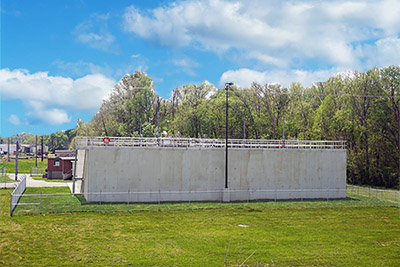 water plant 400x267